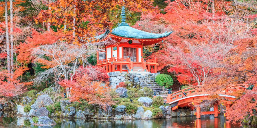 Momijigari, i colori dell’autunno giapponese